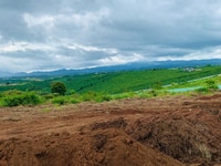 Cần Bán Lô Đất nghĩ dưỡng BUNGALOW HILLS Cần Bán Lô Đất nghĩ dưỡng BUNGALOW HILLS