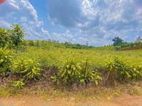 Hai lô liền kề giá F0 hẻm Phan Đình Phùng 209m2, đường nhựa 6m Hai lô liền kề giá F0 hẻm Phan Đình Phùng 209m2, đường nhựa 6m