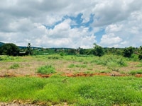 Bán Đất Thị Trấn Cách Đà Lạt 15km thổ cư sổ riêng Bán Đất Thị Trấn Cách Đà Lạt 15km thổ cư sổ riêng