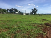 Bán Nhanh 3 Lô View Ruộng bệnh viện nhi Bán Nhanh 3 Lô View Ruộng bệnh viện nhi