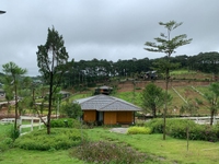 Bán đất trung tâm 806tr đường Lý Thái Tổ, view Đà Lạt, có suối có đồi