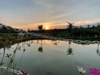 Đất nghỉ dưỡng BẢO LỘC sau dịch giáp đồi chè tâm châu Đất nghỉ dưỡng BẢO LỘC sau dịch giáp đồi chè tâm châu