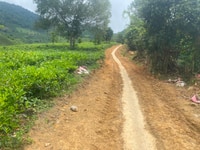 Bán đất Bảo Lâm giá 550 triệu 600m2 Bán đất Bảo Lâm giá 550 triệu 600m2