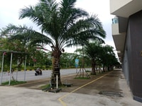 Căn góc duy nhất bán tại dự án Centa City Căn góc duy nhất bán tại dự án Centa City