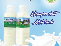 Sữa Bò Tươi nguyên chất Hương Việt sữa bắp Sữa Bò Tươi nguyên chất Hương Việt sữa bắp