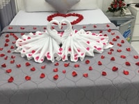 Cho thuê villa đường Trần Thái Tông P.9 Cho thuê villa đường Trần Thái Tông P.9