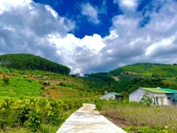 600 m2 Đất Nghỉ Dưỡng Giá 630 Triệu, View Đồi, Nam Ban Lâm Hà 600 m2 Đất Nghỉ Dưỡng Giá 630 Triệu, View Đồi, Nam Ban Lâm Hà