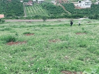 Đất Sào Bảo Lộc 3000m2 view toàn cảnh, đường 7m, nở hậu. Đất Sào Bảo Lộc 3000m2 view toàn cảnh, đường 7m, nở hậu.