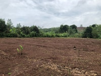 Bán 4000m2 đất đỏ có 300m2 đất thổ cư tại xã hàng gòn sổ hồng riêng Bán 4000m2 đất đỏ có 300m2 đất thổ cư tại xã hàng gòn sổ hồng riêng