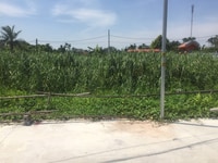 Cần chuyển nhượng lô đất , cưc kì tiềm năng, chỉ hơn 7xx tr. Ở TDP Cần chuyển nhượng lô đất , cưc kì tiềm năng, chỉ hơn 7xx tr. Ở TDP
