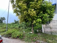 Bán đất Anh Dũng 7 đã có sổ đỏ chính chủ, hướng Đông Nam, đường 6m Bán đất Anh Dũng 7 đã có sổ đỏ chính chủ, hướng Đông Nam, đường 6m