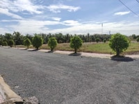 Đất thổ cư sau kcn Tân Hương giá rẻ thổ cư Đất thổ cư sau kcn Tân Hương giá rẻ thổ cư