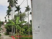 Chính chủ bán lô đất hướng Nam tại Vọng Hải, Quận Dương Kinh. Chính chủ bán lô đất hướng Nam tại Vọng Hải, Quận Dương Kinh.