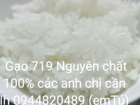 Mùa lúa quê em nay bắt đầu gặt rồi. Anh chị em đã ăn gạo 719 thì biết Mùa lúa quê em nay bắt đầu gặt rồi. Anh chị em đã ăn gạo 719 thì biết
