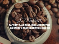 Cà phê robusta rang mộc bán giá sỉ 1 năm không đổi giao hàng nhanh Cà phê robusta rang mộc bán giá sỉ 1 năm không đổi giao hàng nhanh