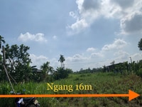 Vườn Tịnh Hà 805m2 giáp Tịnh Ấn Tây giá mùa dịch Vườn Tịnh Hà 805m2 giáp Tịnh Ấn Tây giá mùa dịch