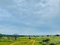 Bán lô đất 2900m2 thị trấn Chợ Lầu, sổ CLN , cách biển 1.5km Bán lô đất 2900m2 thị trấn Chợ Lầu, sổ CLN , cách biển 1.5km