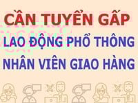 Tuyển gấp lao động phổ thông và nhân viên giao hàng, làm tại Quận 5