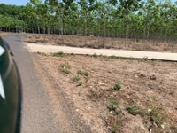 Bán đất tân phước đồng phú bình phước 1000m2 giá 550 triệu Bán đất tân phước đồng phú bình phước 1000m2 giá 550 triệu
