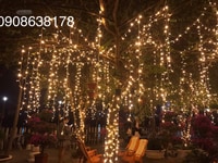 Đèn led rèm ngoài trời cao cấp 3x2m4 chống nước giá sỉ 370k Đèn led rèm ngoài trời cao cấp 3x2m4 chống nước giá sỉ 370k