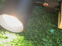 Đèn rọi ray 30w COB ống giá sỉ 105k Đèn rọi ray 30w COB ống giá sỉ 105k