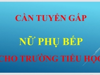 Công ty cần tuyển gấp nữ nhân viên phụ bếp cho Trường Tiểu Học
