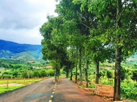 Thiên đường nghỉ dưỡng cách Đà Lạt 30km, thổ cư kết hợp nông nghiệp Thiên đường nghỉ dưỡng cách Đà Lạt 30km, thổ cư kết hợp nông nghiệp