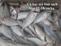 Cần bán cá bạc má làm sạch, giá sỉ 3x Cần bán cá bạc má làm sạch, giá sỉ 3x