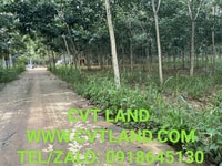 Bán 5,4 sào có hai mặt đường, đường trước 74m đường bên hông 76m Bán 5,4 sào có hai mặt đường, đường trước 74m đường bên hông 76m