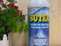 SUTEA - Chuyên trị phát sáng - Trị đóng rong trên tôm SUTEA - Chuyên trị phát sáng - Trị đóng rong trên tôm
