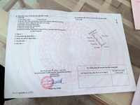 Bán lô đất giá cực đẹp tại Lâm Động Thuỷ Nguyên Bán lô đất giá cực đẹp tại Lâm Động Thuỷ Nguyên