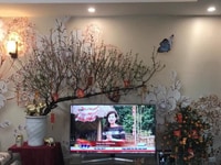 Trung tâm hà đông - nhỉnh 2 tỷ - nhà mặt ngõ kinh doanh oto đỗ cửa Trung tâm hà đông - nhỉnh 2 tỷ - nhà mặt ngõ kinh doanh oto đỗ cửa