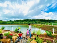 Đất nền full thổ cư 5×26 ,nằm cạnh đồi chè tâm châu - Bảo Lộc Đất nền full thổ cư 5×26 ,nằm cạnh đồi chè tâm châu - Bảo Lộc