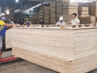 Ván gỗ dán, ván gỗ dán mặt đỏ, ván gỗ dán mặt dầu Ván gỗ dán, ván gỗ dán mặt đỏ, ván gỗ dán mặt dầu