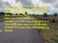 Hot hot cần bán 8 sào đất đẹp vị trí đắc địa huyện Trảng Bom, Đồng Nai Hot hot cần bán 8 sào đất đẹp vị trí đắc địa huyện Trảng Bom, Đồng Nai