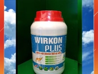 WIRKON PLUS - Diệt khuẩn EMS - Trị nấm, vi bào tử WIRKON PLUS - Diệt khuẩn EMS - Trị nấm, vi bào tử