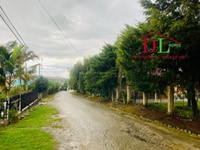 Bán homestay KQH Đông Tĩnh, P8, Đà Lạt kinh doanh ổn định Bán homestay KQH Đông Tĩnh, P8, Đà Lạt kinh doanh ổn định
