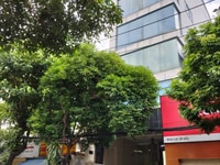 Cần cho thuê nguyên TOÀ VĂN PHÒNG tại Cộng hoà, Tân Bình Cần cho thuê nguyên TOÀ VĂN PHÒNG tại Cộng hoà, Tân Bình