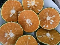 Cam sành Vĩnh Long vỏ mỏng nhiều nước. Cam sành Vĩnh Long vỏ mỏng nhiều nước.
