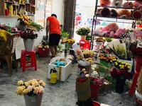 Bán nhà mặt tiền Lê Hồng Phong, TP Nha Trang. Giá 7,2 Tỷ Bán nhà mặt tiền Lê Hồng Phong, TP Nha Trang. Giá 7,2 Tỷ