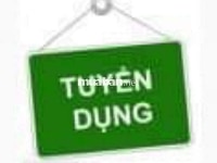 Tuyển tạp vụ văn phòng ưu tiên người lớn tuổi gắng bó lâu dài Tuyển tạp vụ văn phòng ưu tiên người lớn tuổi gắng bó lâu dài
