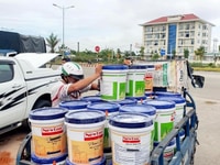 Sơn Nước NewTon - Sao Phương Nam Sơn Nước NewTon - Sao Phương Nam