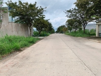 Diện tích: 300m2 đã tách 2 sổ riêng 150m2(5x30) toàn bộ đều thổ cư 100 Diện tích: 300m2 đã tách 2 sổ riêng 150m2(5x30) toàn bộ đều thổ cư 100