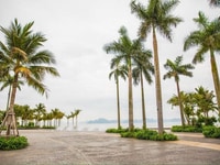 Sở hữu ngay lô đất nền ven biển - TP. Quy Nhơn, 100m2, shr Sở hữu ngay lô đất nền ven biển - TP. Quy Nhơn, 100m2, shr