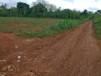 BÁN 5,5 sào đất TẠI Cuor Đăng, Cư M’Gar giá tốt BÁN 5,5 sào đất TẠI Cuor Đăng, Cư M’Gar giá tốt
