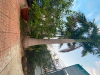 Đất nghĩ dưỡng và đầu tư ấp 3 bình lộc TP long khánh 100m mt đường