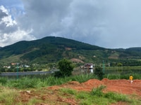 Cần bán gấp Đất ở Đông Thanh view Hồ, view đồi thông, có sổ, đường oto Cần bán gấp Đất ở Đông Thanh view Hồ, view đồi thông, có sổ, đường oto