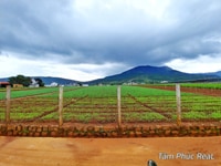 Bán 5.200m2 đất 2 mặt tiền cực đẹp cách Đà Lạt 18km,QL 20 vào đất 1km Bán 5.200m2 đất 2 mặt tiền cực đẹp cách Đà Lạt 18km,QL 20 vào đất 1km