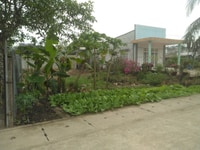 261 m2 hẻm ô tô 1 sẹc xã Phú Thạnh sát Vành đai 3 - Giá cực tốt! 261 m2 hẻm ô tô 1 sẹc xã Phú Thạnh sát Vành đai 3 - Giá cực tốt!
