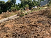Bán đất Đồng Nai 100% thổ cư 7x21m chỉ 990 triệu, sổ hồng riêng Bán đất Đồng Nai 100% thổ cư 7x21m chỉ 990 triệu, sổ hồng riêng